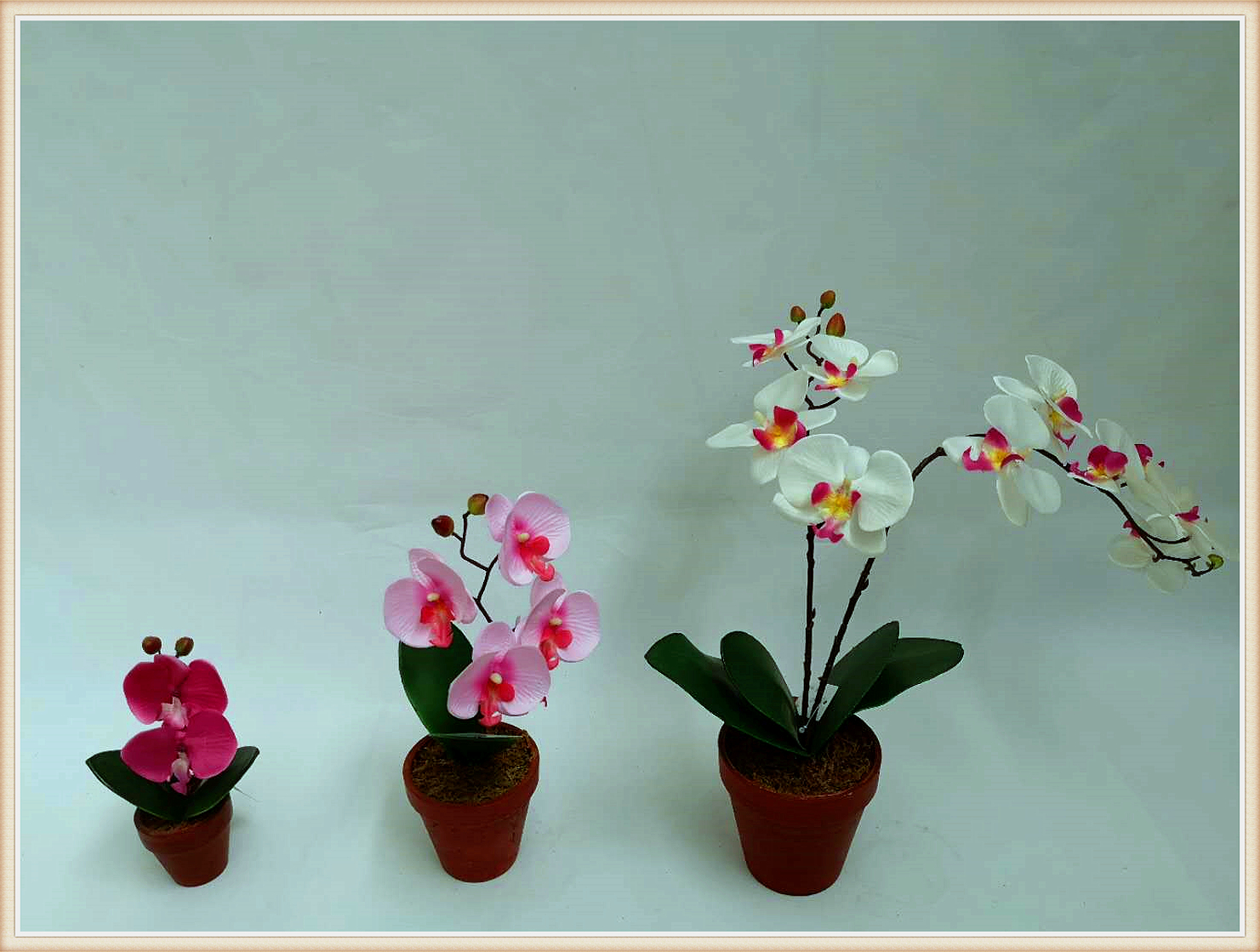 TIANJIN RUICHENG FLOWER - MANUFACTURING LIMITED COMPANY – caja de regalo 4