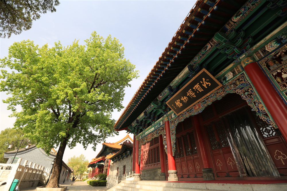 Shanxi Xinghuacun Fenjiu International Trading Co., Ltd. – 烈酒 1