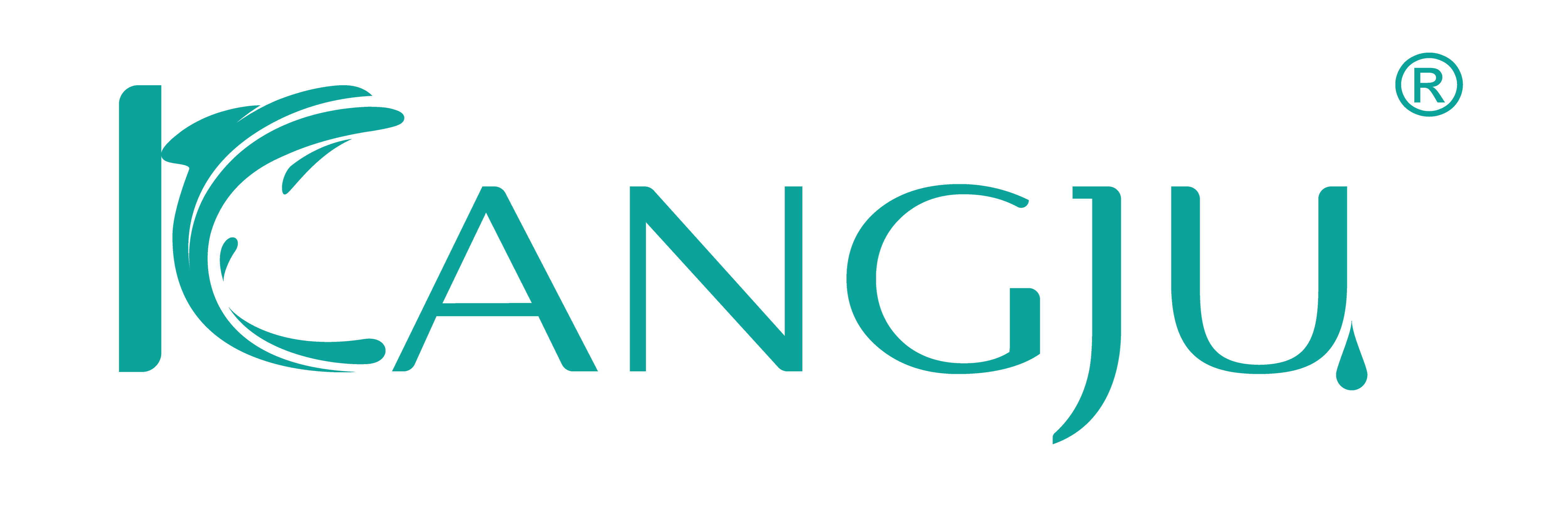 Ningbo Kangju Metal Products Co., Ltd.
