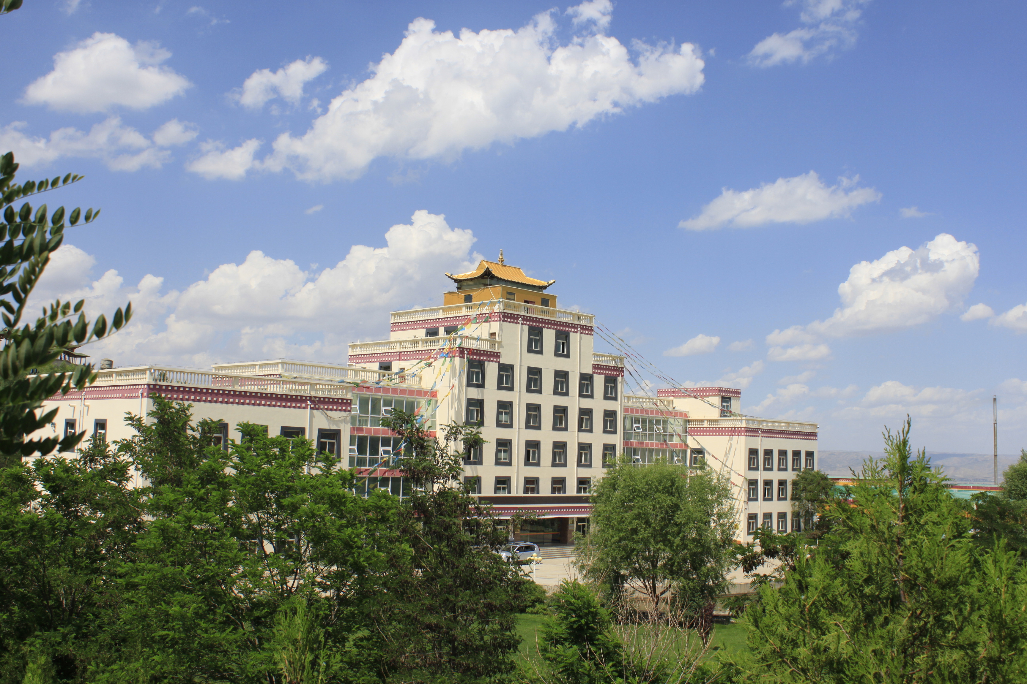 Tibet Qizhen Tibetan Medicine Co., Ltd. – other Chinese herbal medicines 2