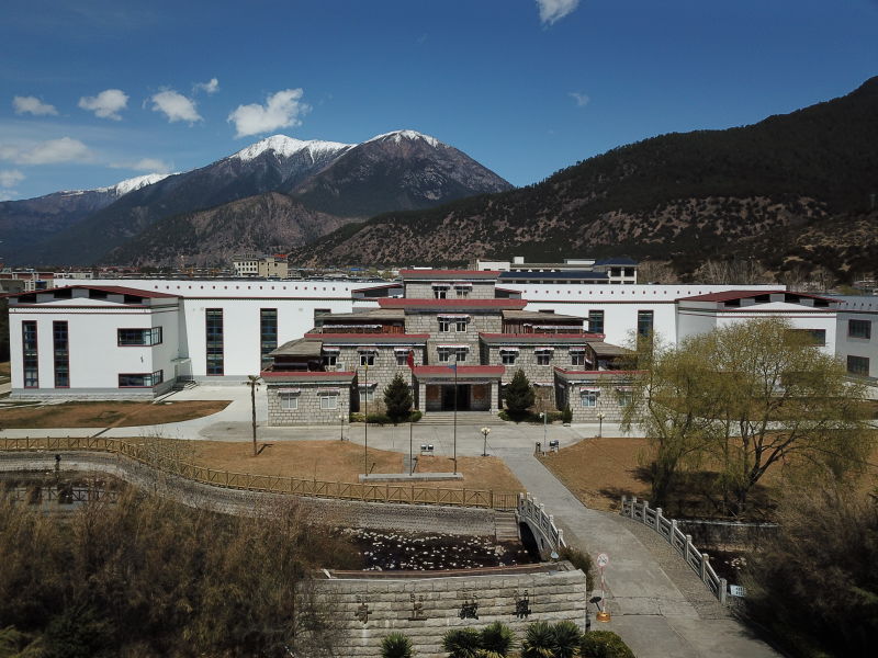 Tibet Qizhen Tibetan Medicine Co., Ltd. – Chinese herbal lozenges 3