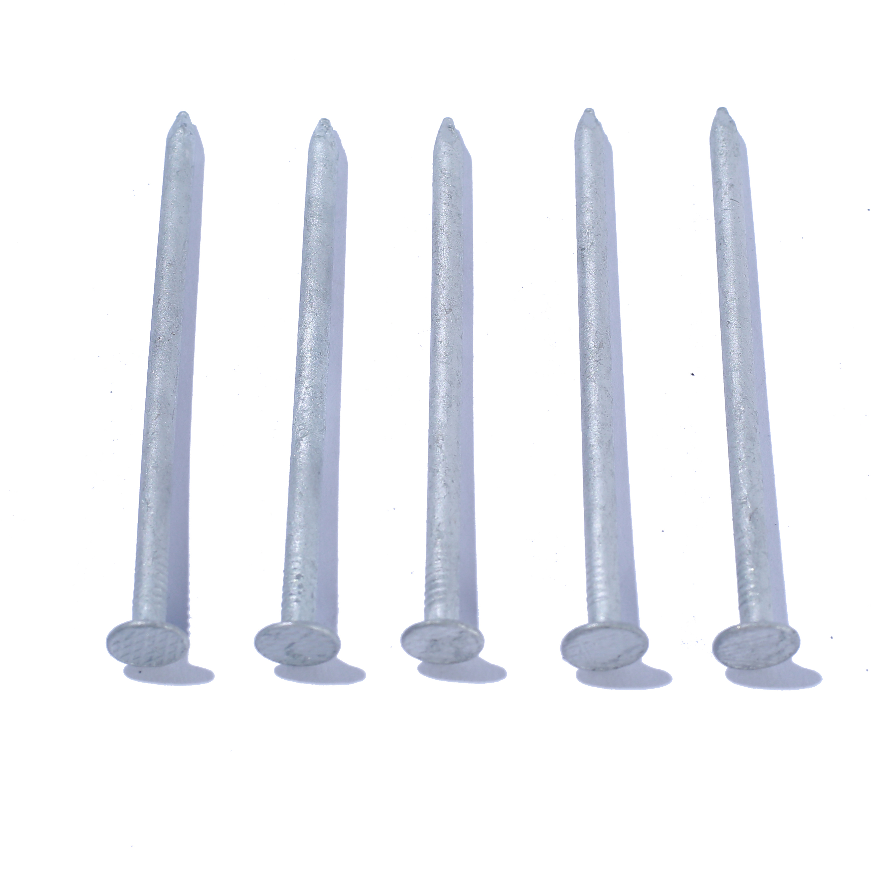 Galvanized common nails