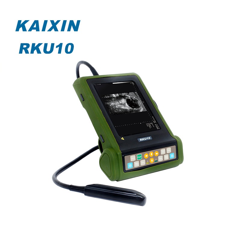 XUZHOU KAIXIN ELECTRONIC INSTRUMENT CO., LTD – colchoneta de yoga 4